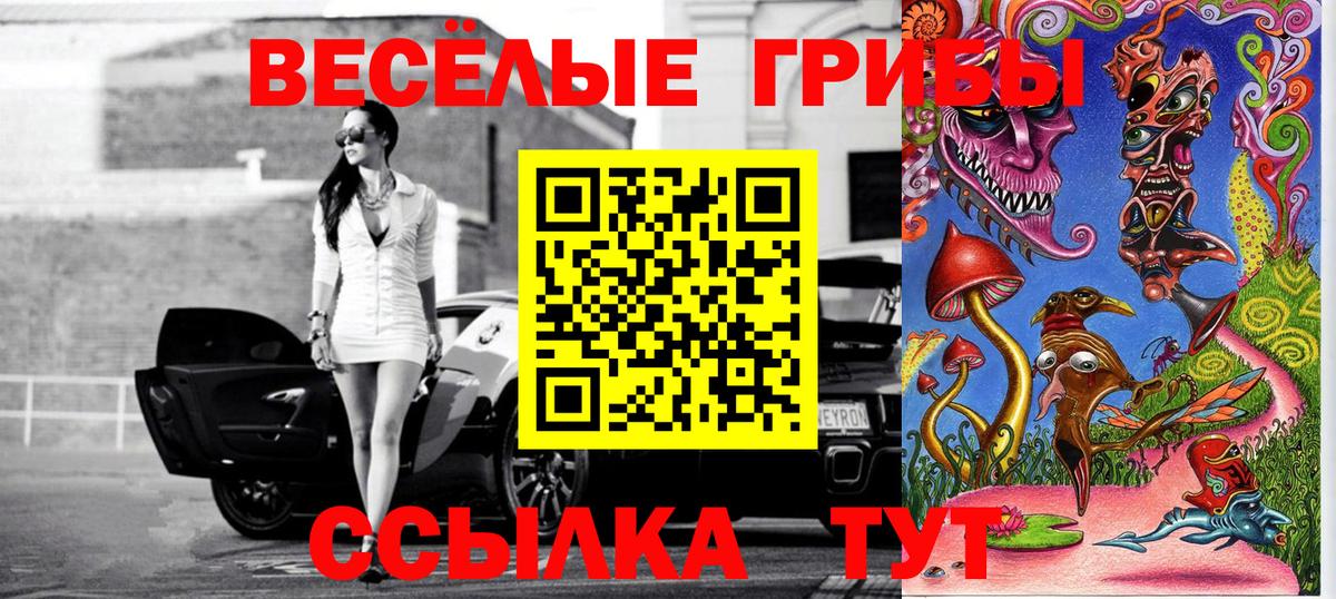 Галлюциногенные грибы мицелий Краснознаменск
