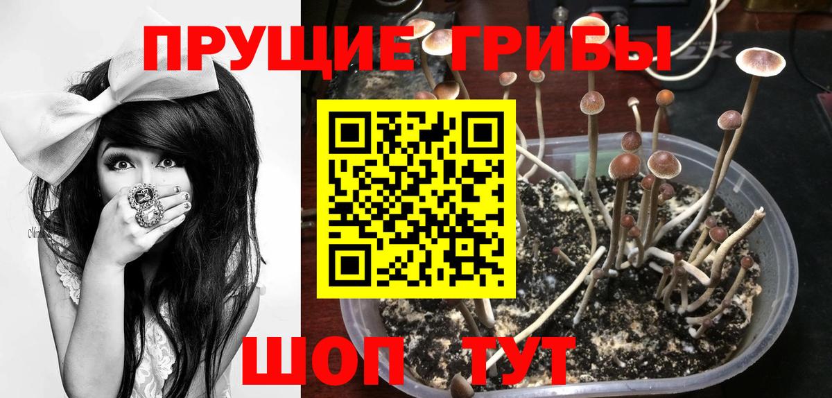 Галлюциногенные грибы мухоморы  Вход с VPN  Краснознаменск  Галлюциногенные грибы мухоморы 